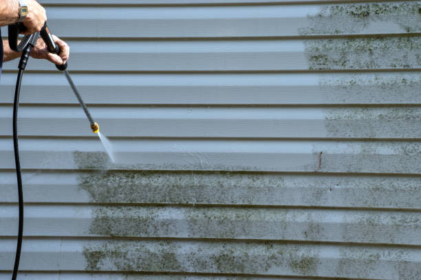 Best Historical Building Siding Restoration  in Mi Wuk Village, CA
